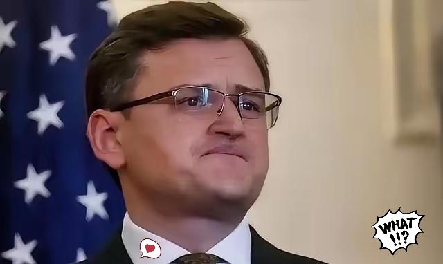 乌克兰，终于有人，敢说实话了！乌克兰前外长库列巴公开承认：冲突结束后，乌克