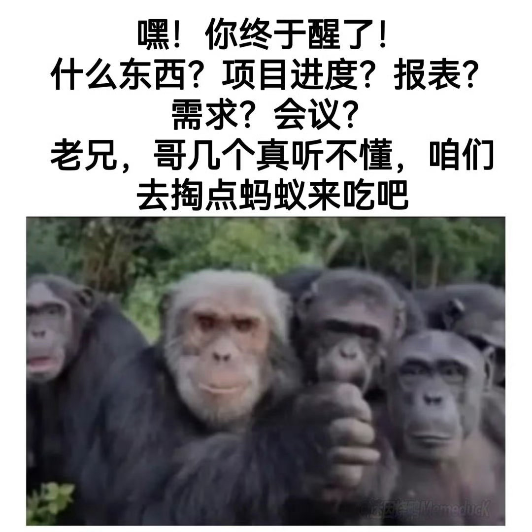 兄弟真该吃点了
