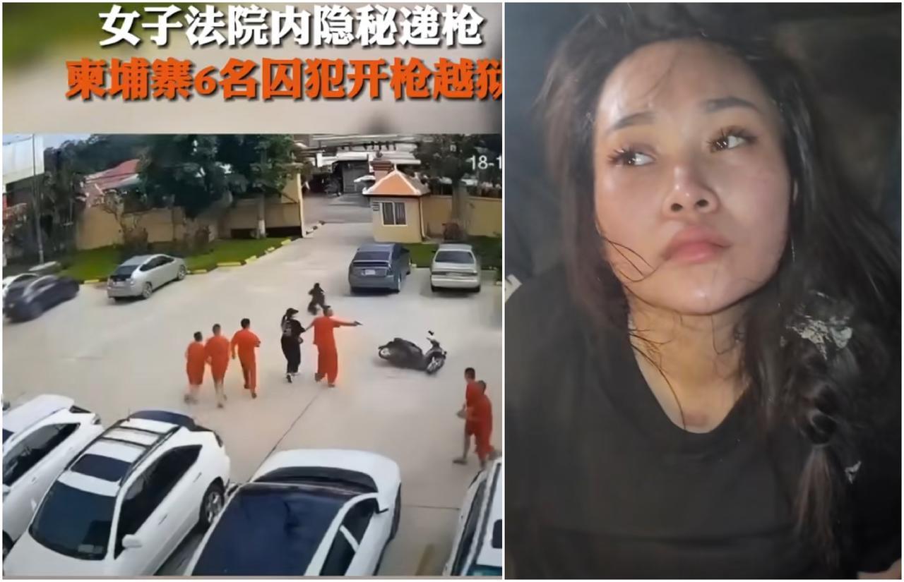 柬埔寨公布了木牌劫囚案的结果7个嫌疑人全部被抓住尤其是那个女的，被抓时镜