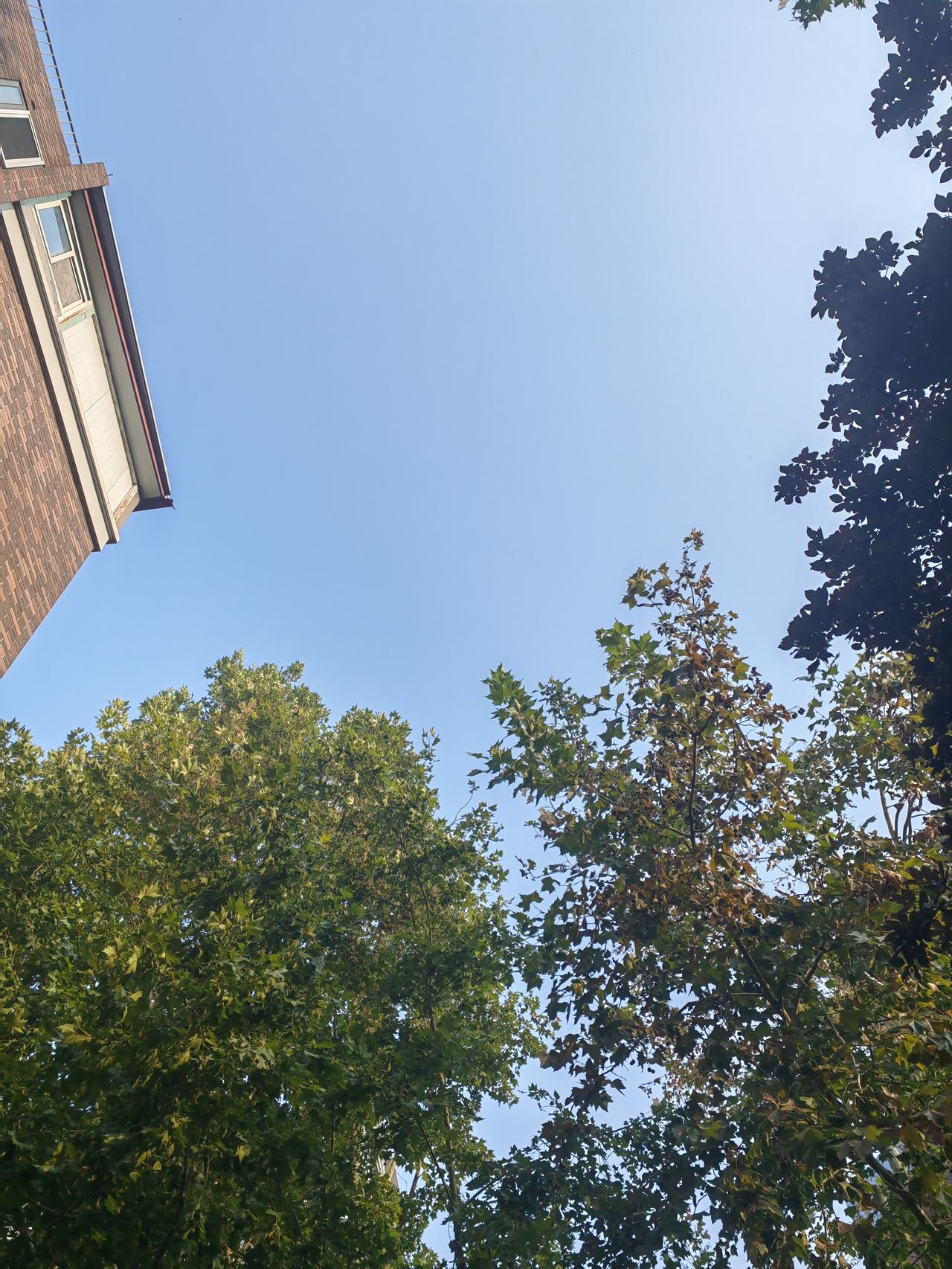 老公说他约了几个同学聚一聚，晚上就不回来吃饭了。我笑他去的时候别太寒酸！昨晚