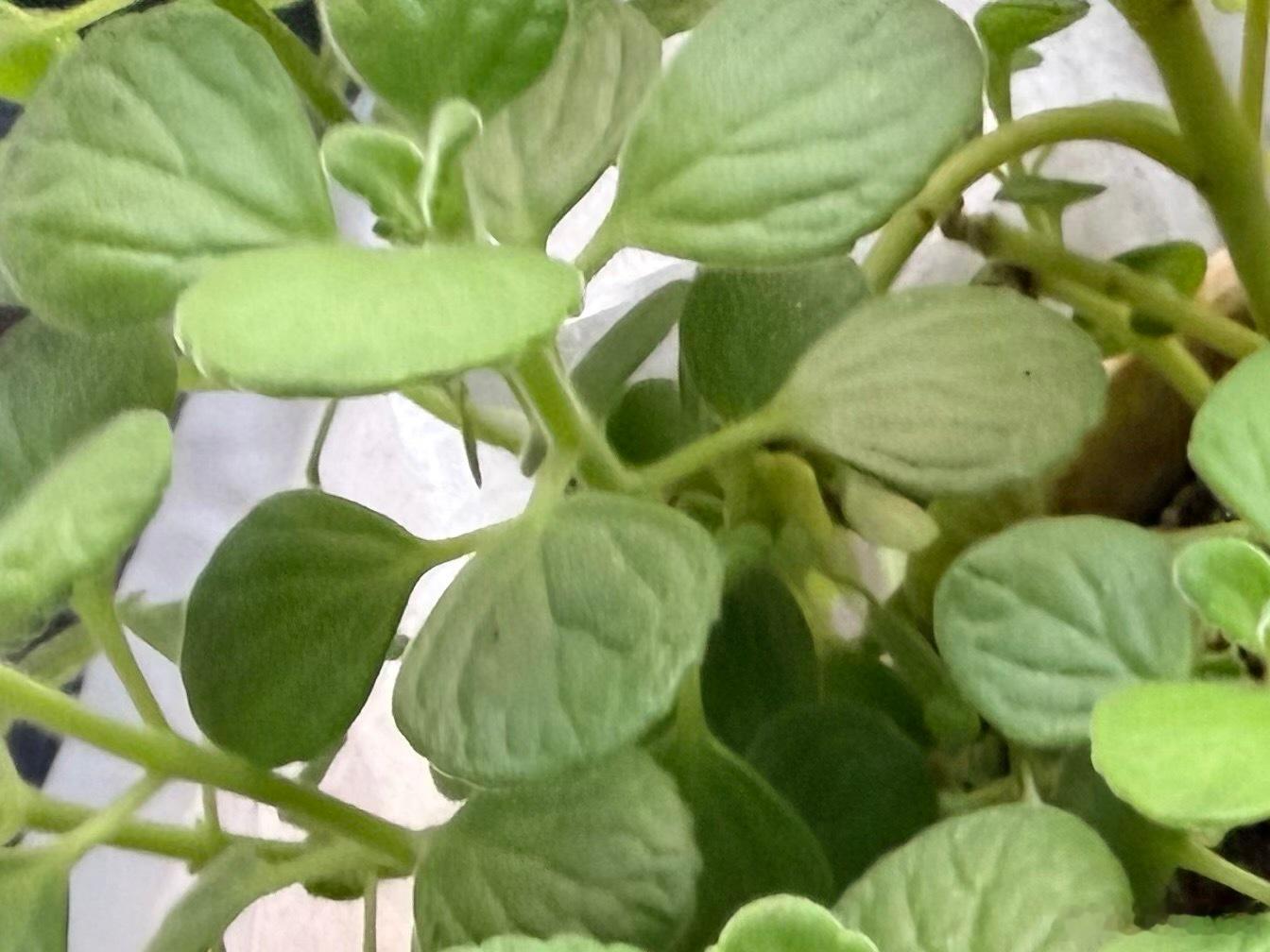 用微笑和善良装点每一天，你就是那个最精致的自己￼，命运由你创造！种善因得善果，善