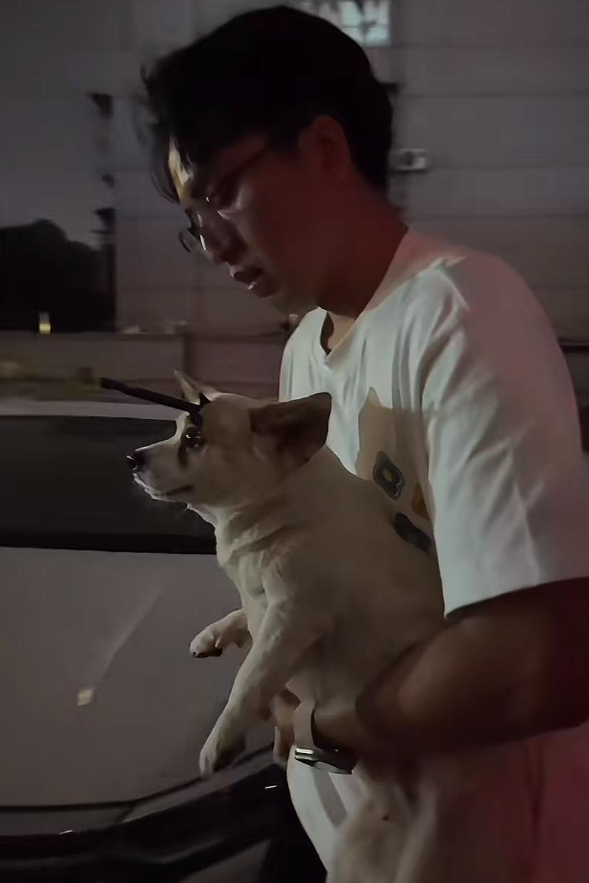 不爱也别伤害！湖北武汉。流浪狗被弩箭射伤贯穿整个脑袋，宠物医院连夜驱车300多公