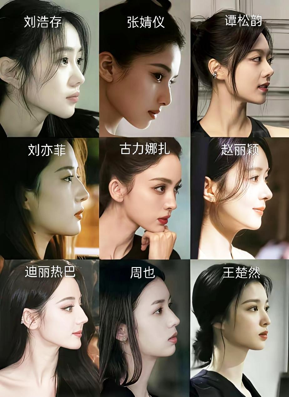 内娱九大女星鼻型对比，你觉得谁的鼻子最好看？1.刘浩存：鼻子短翘，轮廓清晰，