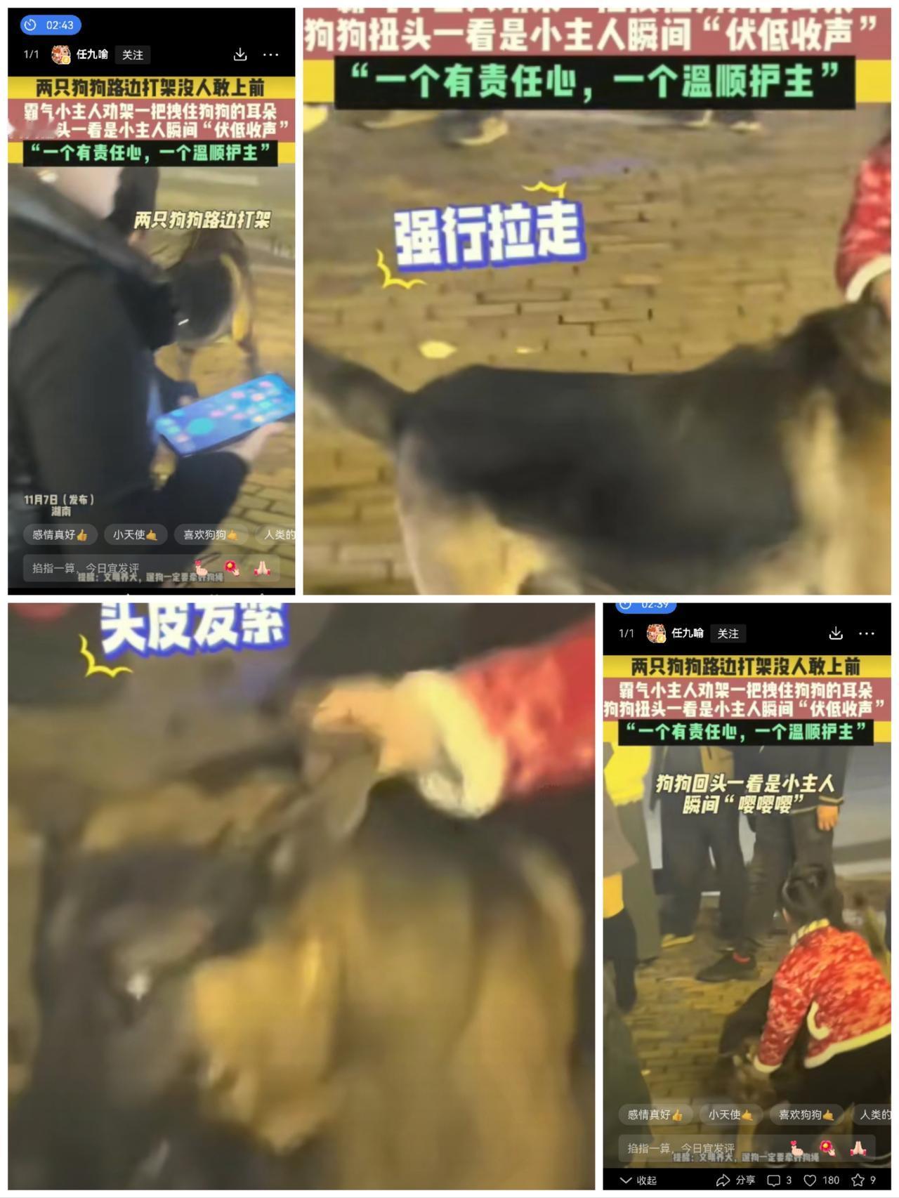 笑不活了！这届大人被小朋友上了一课！最近湖南街头出现戏剧性一幕：两只没牵绳的宠物