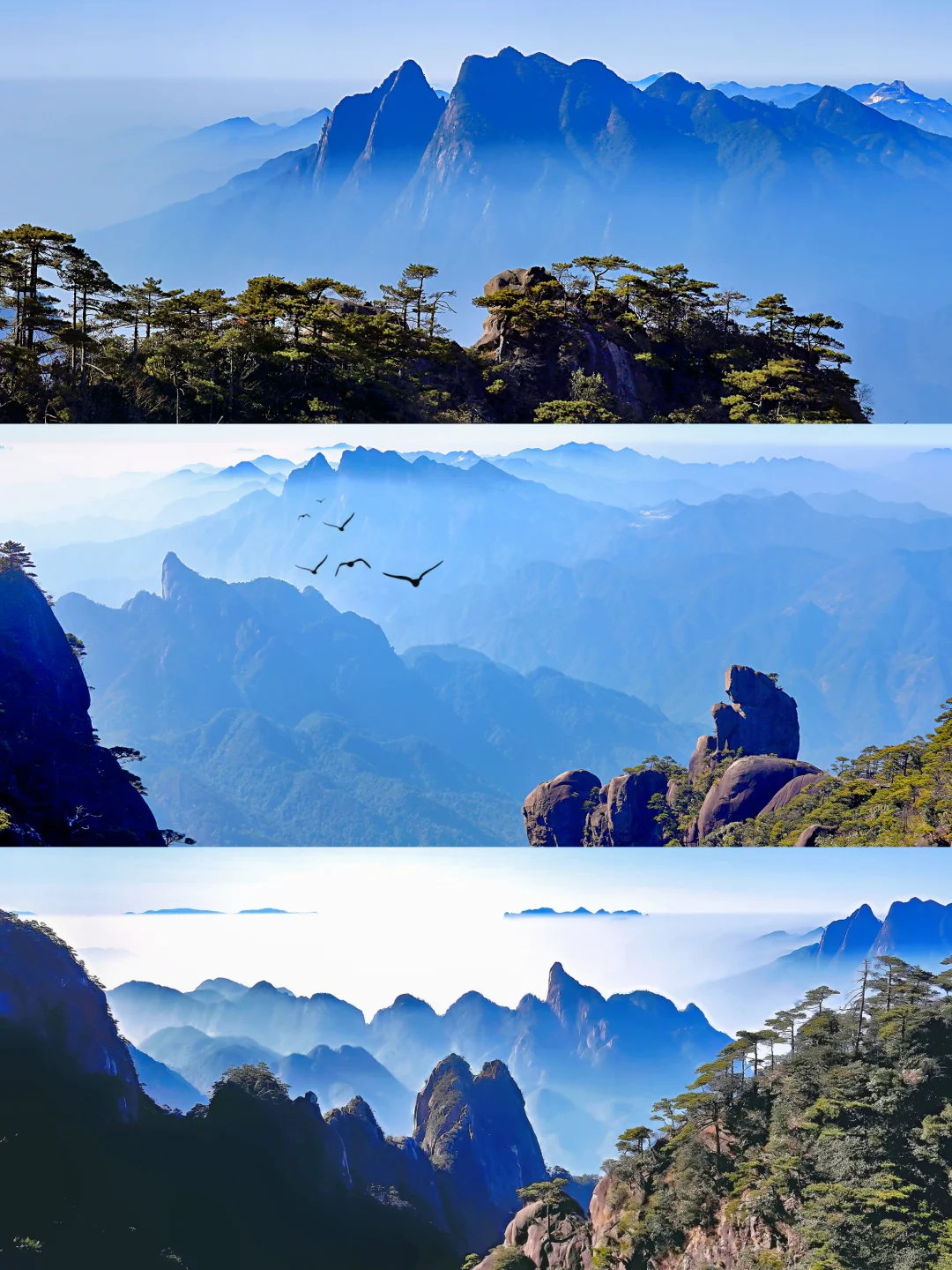 国家地理诚不欺我！这里真是云端漫步的仙山