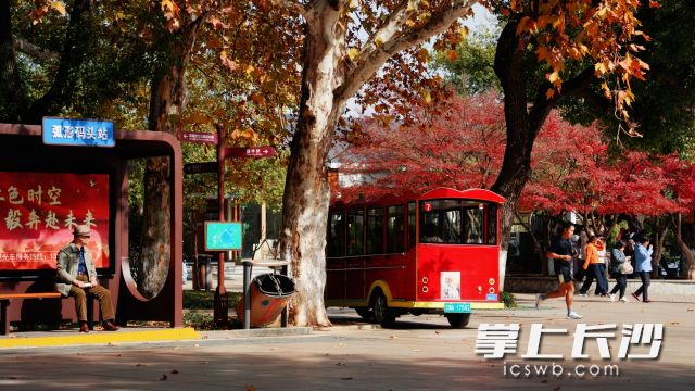 别被晴暖骗了! 长沙下周大降温, 湖南今冬天气是……