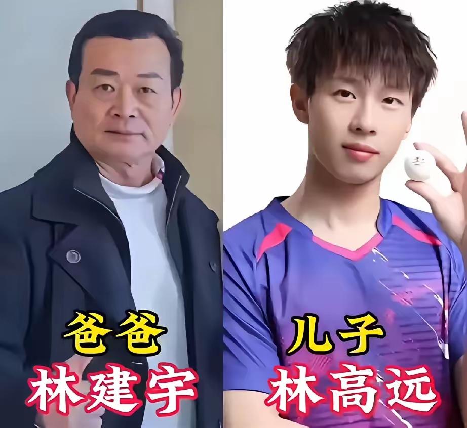 体坛名将背后，都有着出色的父亲加持，你最喜欢哪一对呢？