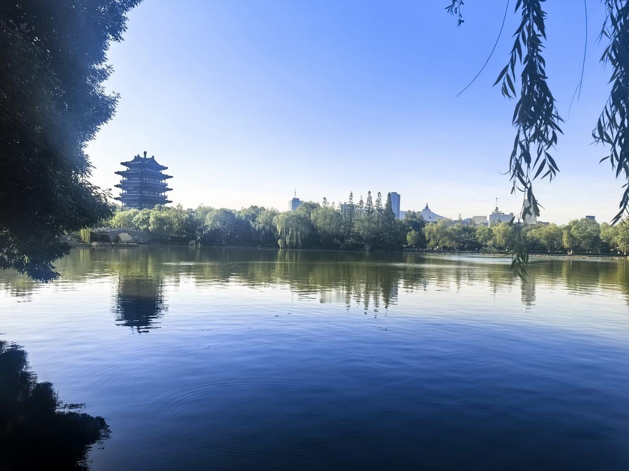 晨游大明湖2025.5.3