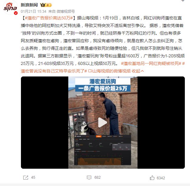 潘宏再陷风波! 网红狗被指索要百万违约金!