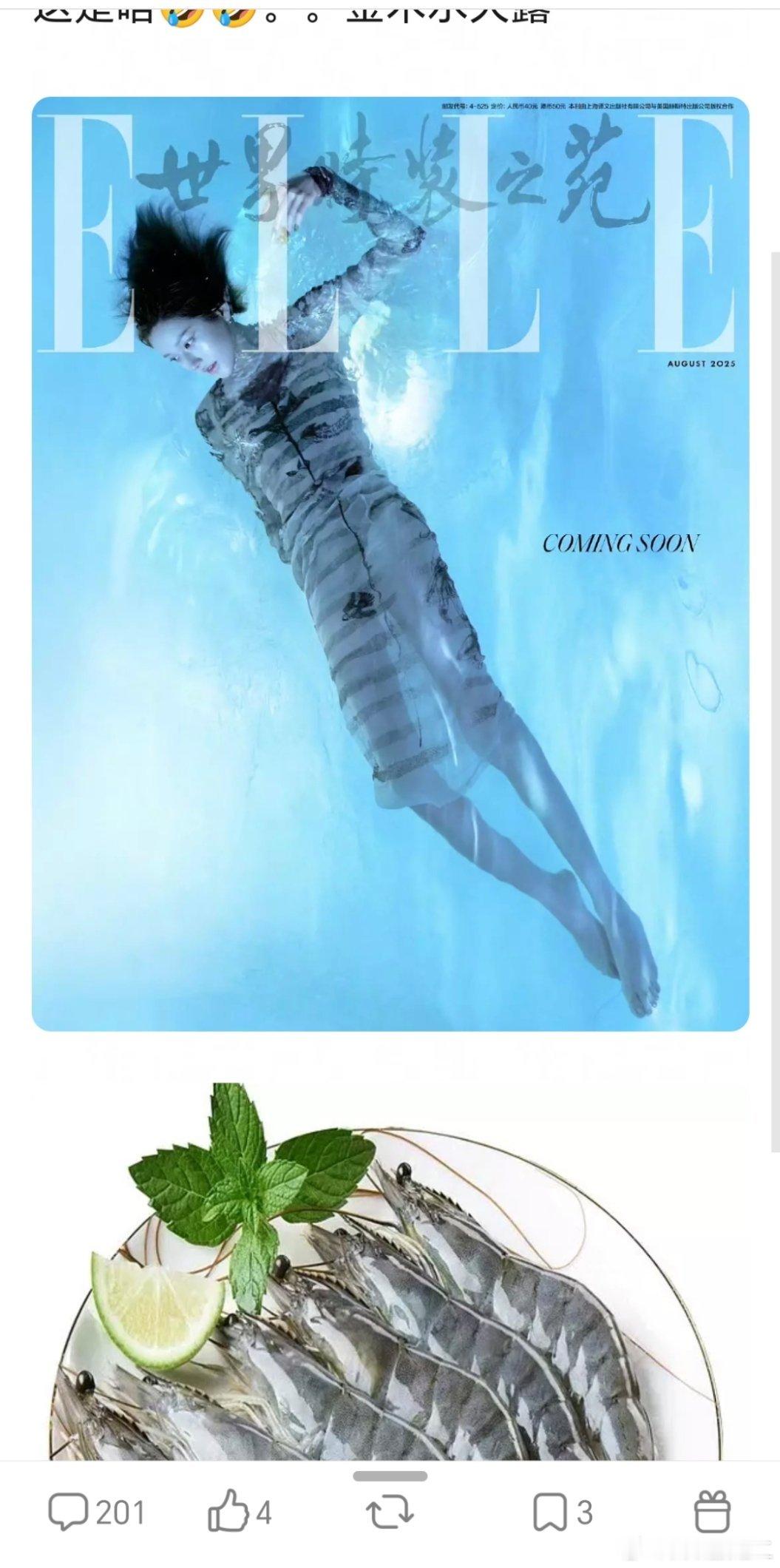 赵露思首登ELLE封面，网友说这个造型像一种虾🦐​​​