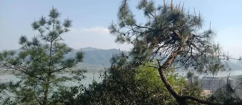 幸福没法用一个标准框住，它是打心眼里生出的满足与安宁，有人在亲人陪伴的温馨瞬间里