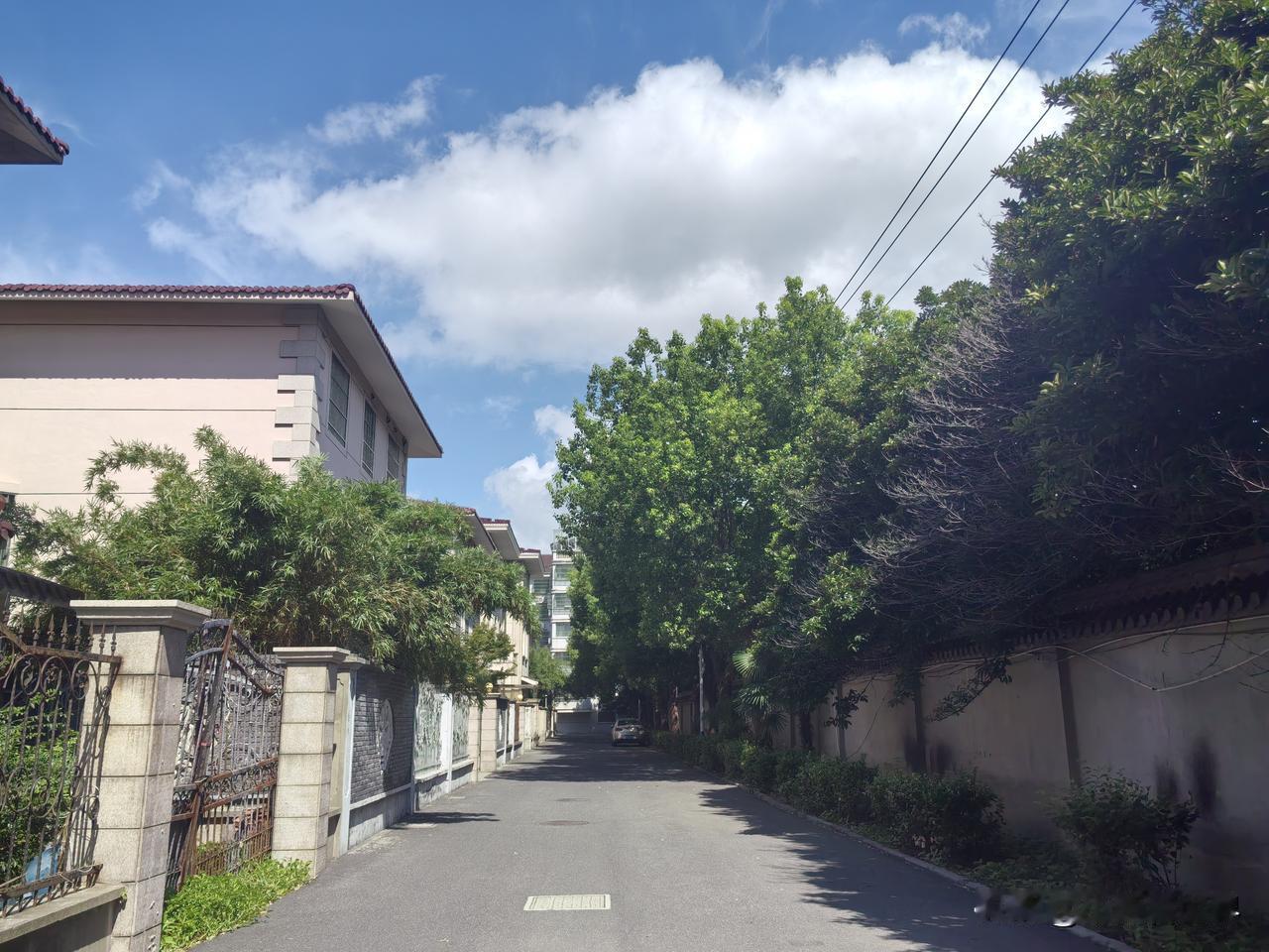 我家侄子侄媳妇今年也都35岁了！夫妻俩在街上开着一家蛋糕店。结婚八九年了！但一直
