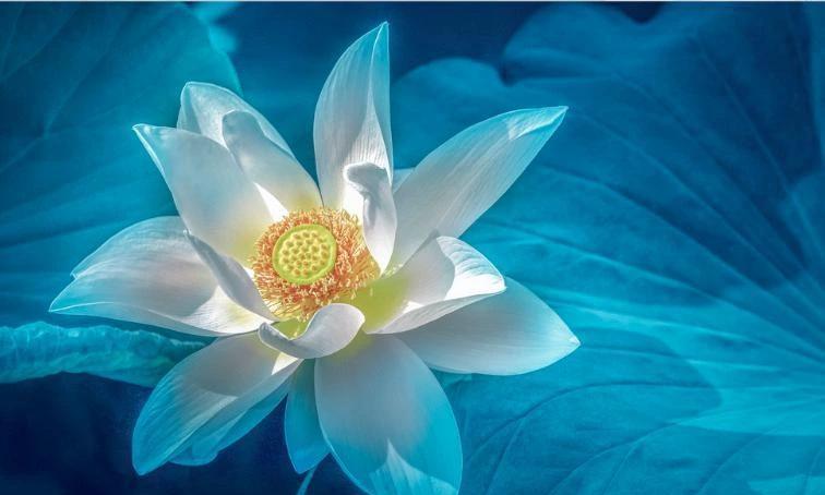 6月开始财神点名，大吉大利的4大生肖，大财运攀升，大富大贵好运来时来天地皆同力