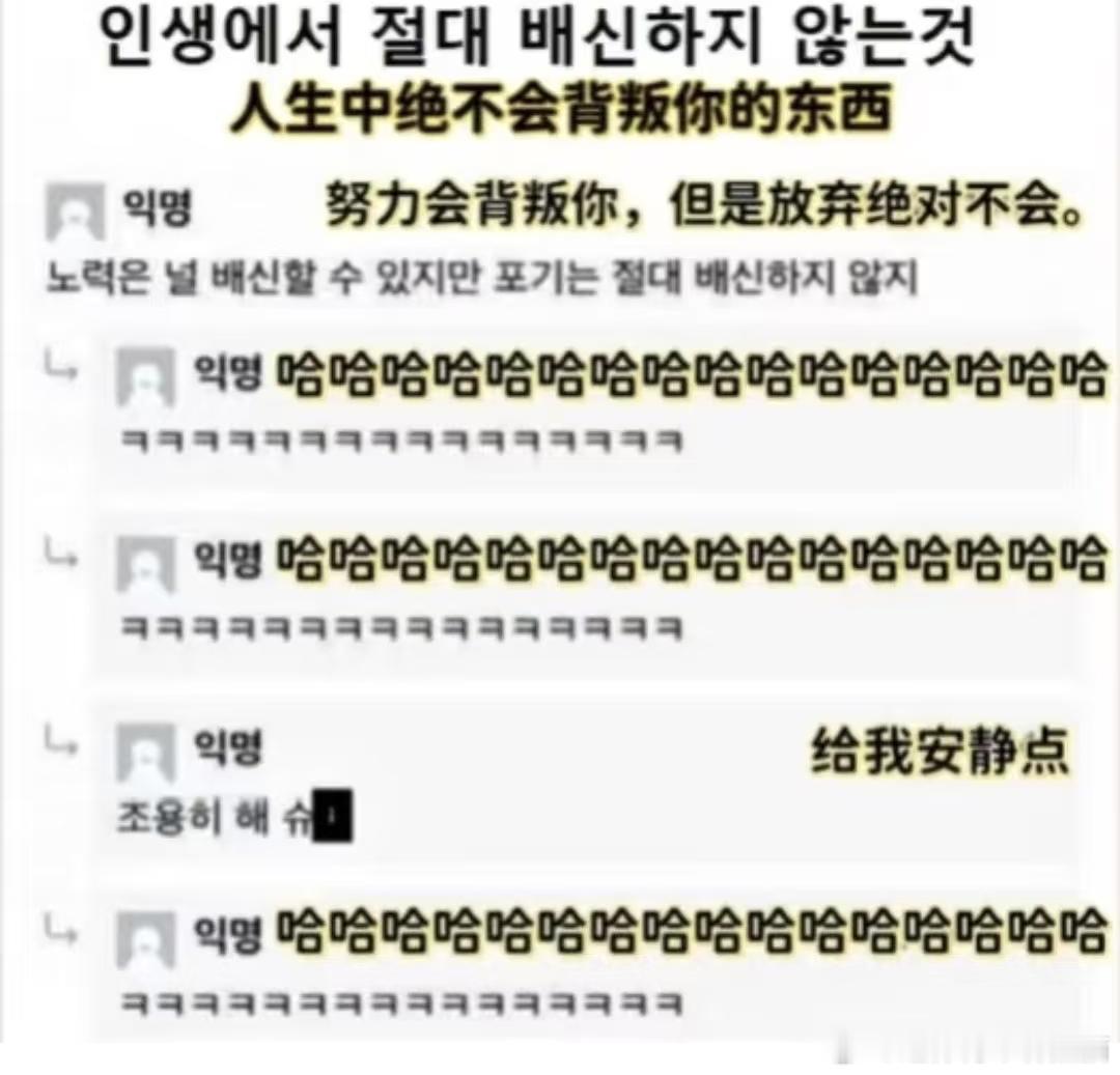 韩国人最该申遗的是他们的嘴，到底怎么练才能说出这么冰冷又好笑的话​​​