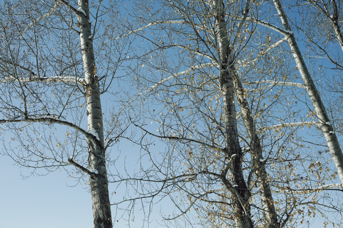 时间流逝的具象。