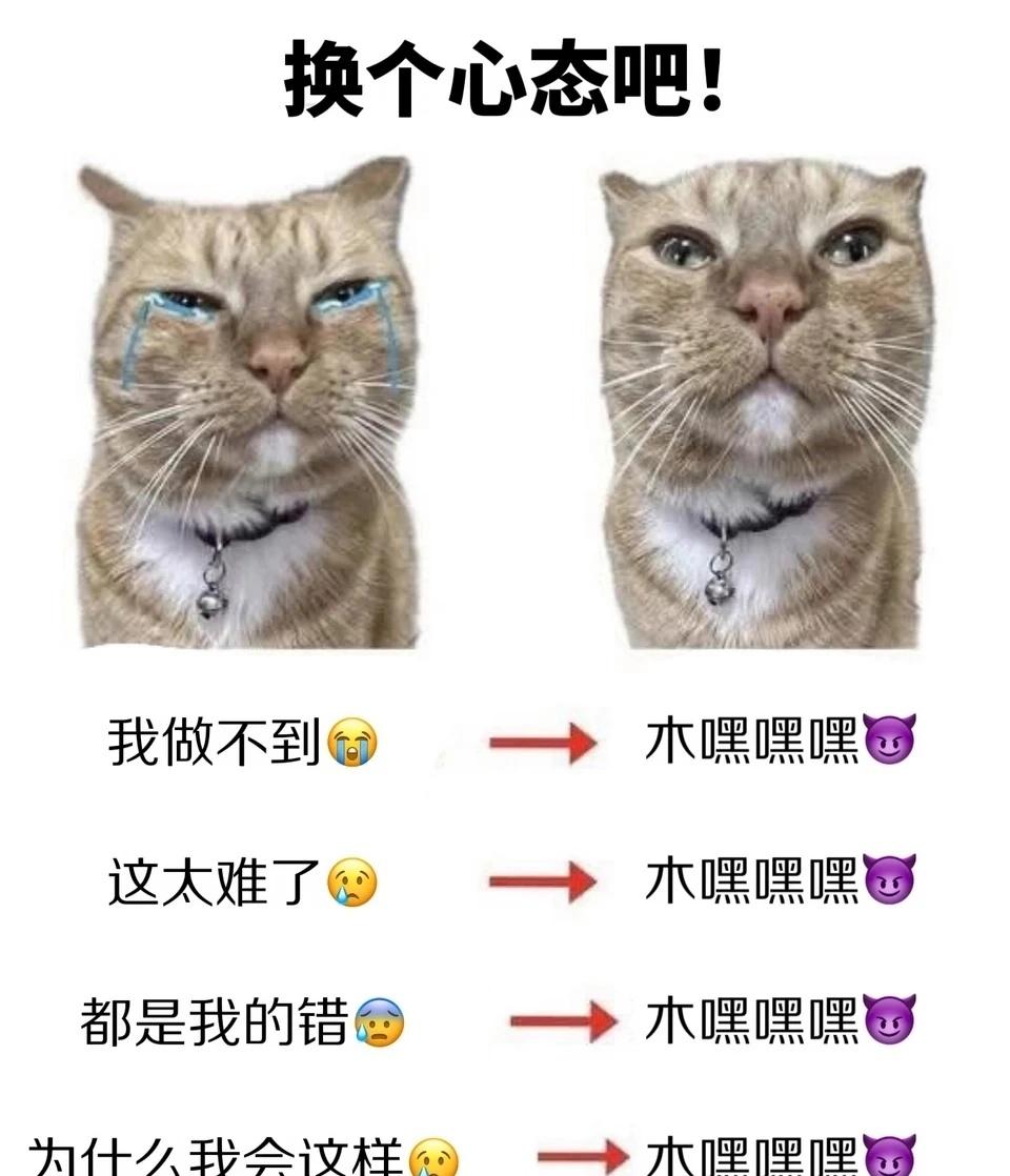 “木嘿嘿嘿”meme带上这个以防万一