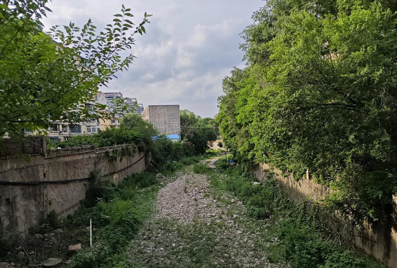 下图是我拍摄于2025年7月2日的辽宁省本溪市境内的张家河。