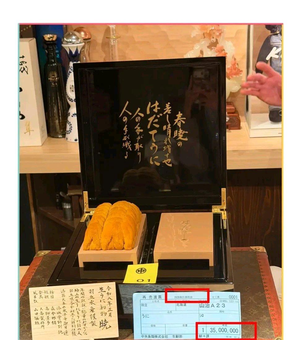 懒懒分享与王思聪甜蜜日常，吃价值155万海胆，称呼王思聪为小猫这生活的甜蜜程度简