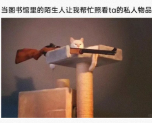 这是一只小猫正在帮忙打扫家里