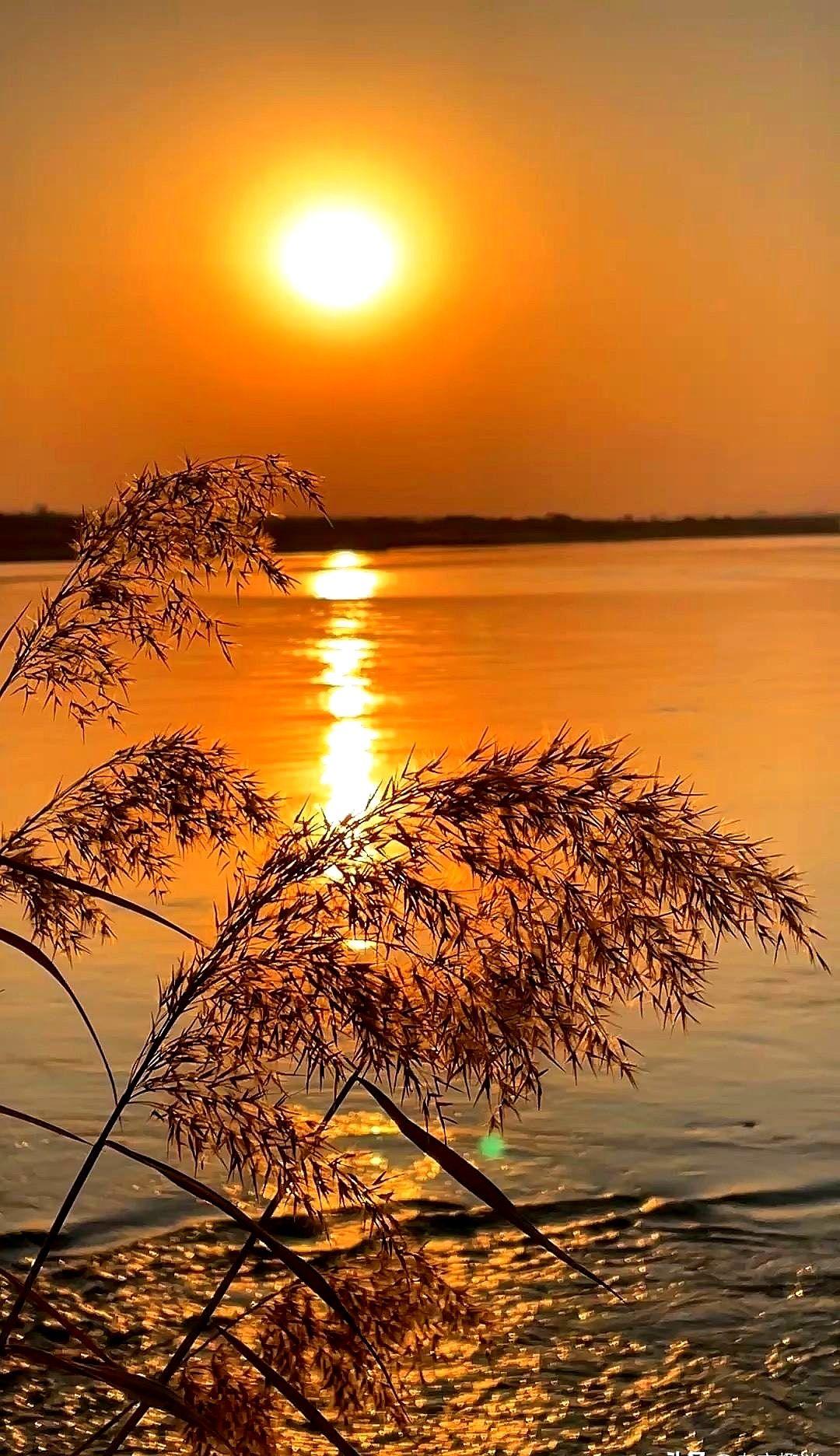 一位哲学家说过，一个人最大的福报就是猝死。现在随着年龄的增长，越来越理解了。