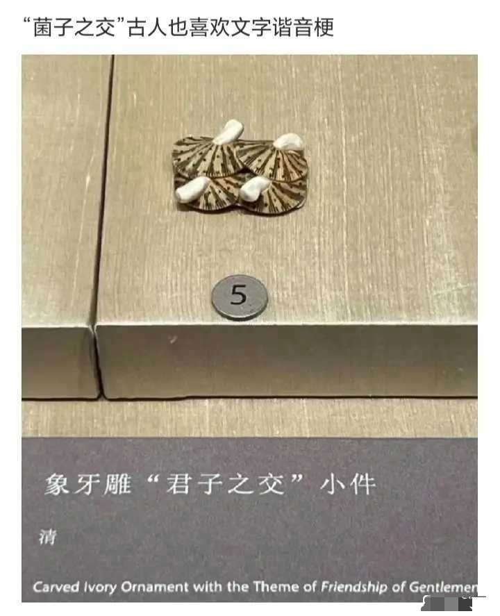 菌子之交，原来古人也喜欢玩谐音梗