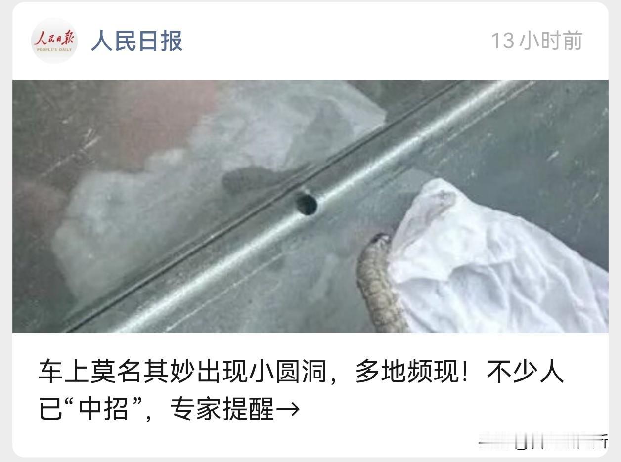 啥？虫子把汽车咬出一个个洞！这是人民日报报道的有多人的汽车被咬出洞洞有