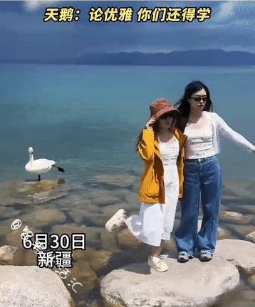 哈哈哈哈哈，笑死个人咧！两位小姐姐在新疆赛里木湖拍照，不料身后的天鹅摆POSE抢