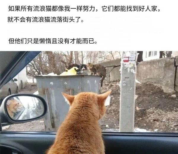 还是不够努力喵搞笑梗图