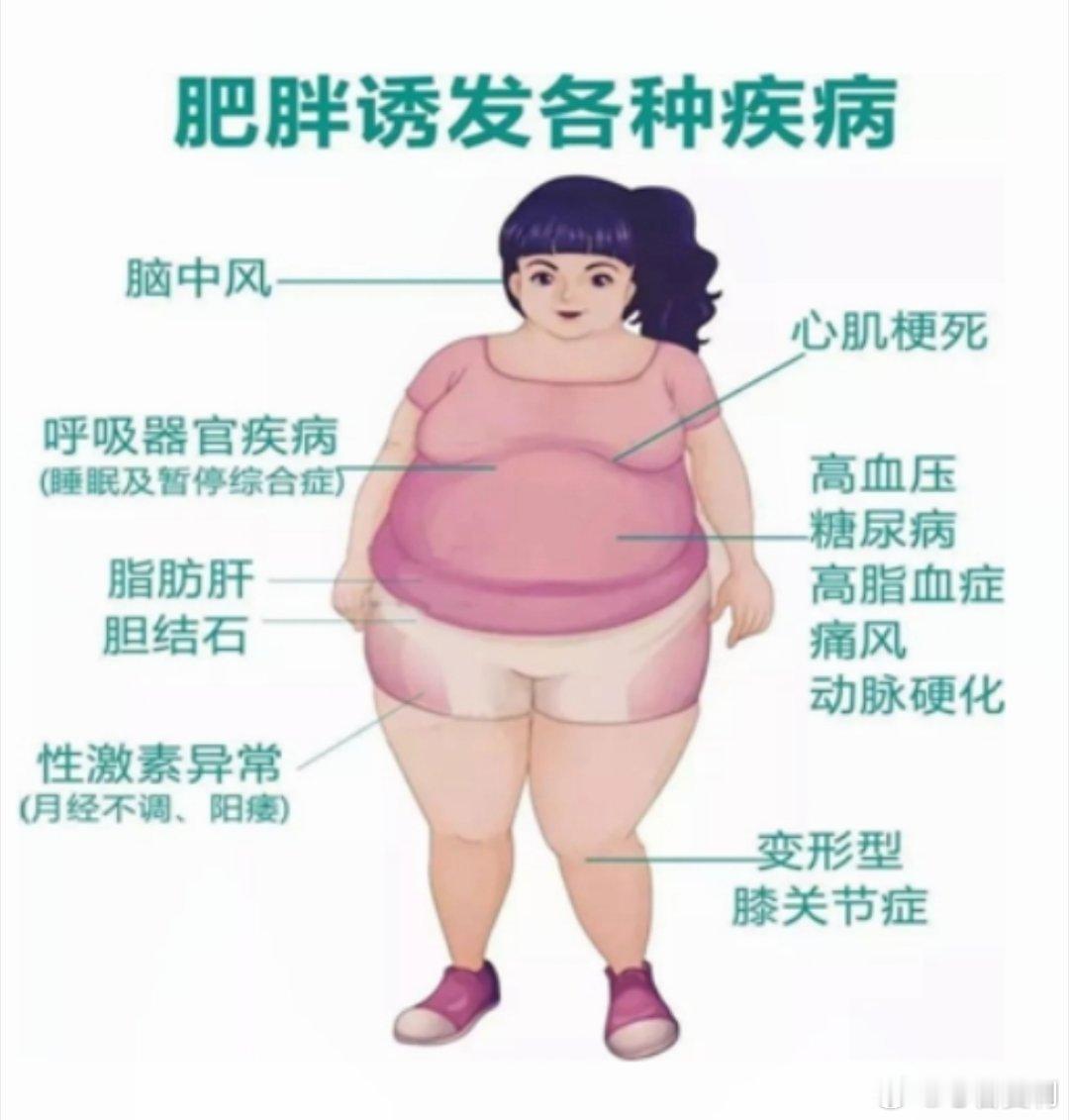 活出健康轻盈炎炎夏日，总想吃点清爽不油腻的。其实减脂不必苦行僧，诺和诺德作为全