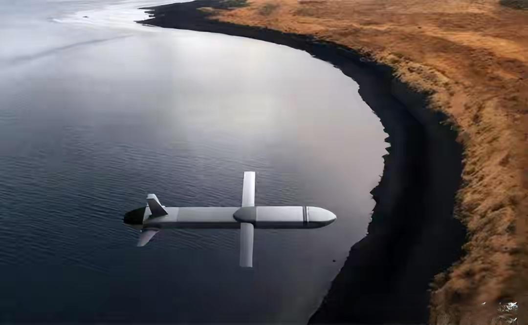 鲁塔Block2导弹：瑞士宣称向乌军交付性能超“口径”的新型导弹。西方