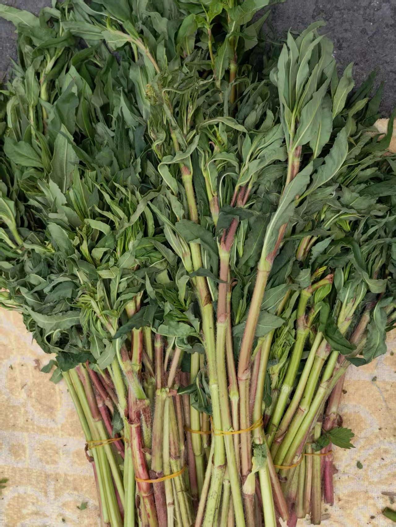 有谁吃过图一这种植物，知道他们叫什么名字吗？小时候它是，我们夏天的水果。长