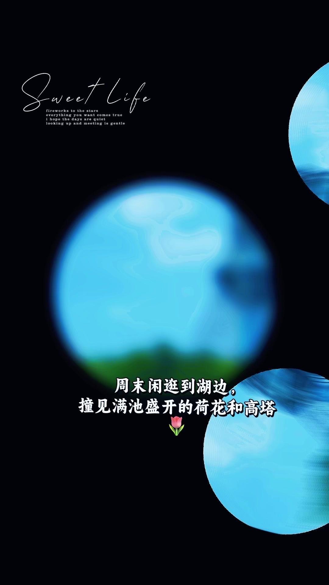 🌿石家庄清晨的雨润荷塘，藏着自然与心灵的对话。细雨筛空，晓气微凉，一湖云影与三