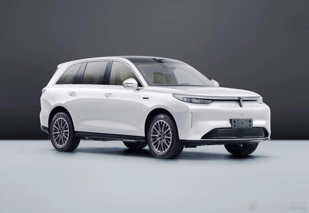 魏牌V8X申报4月10日，在工信部最新一期新车申报名录中，魏牌V8X申报。车身尺