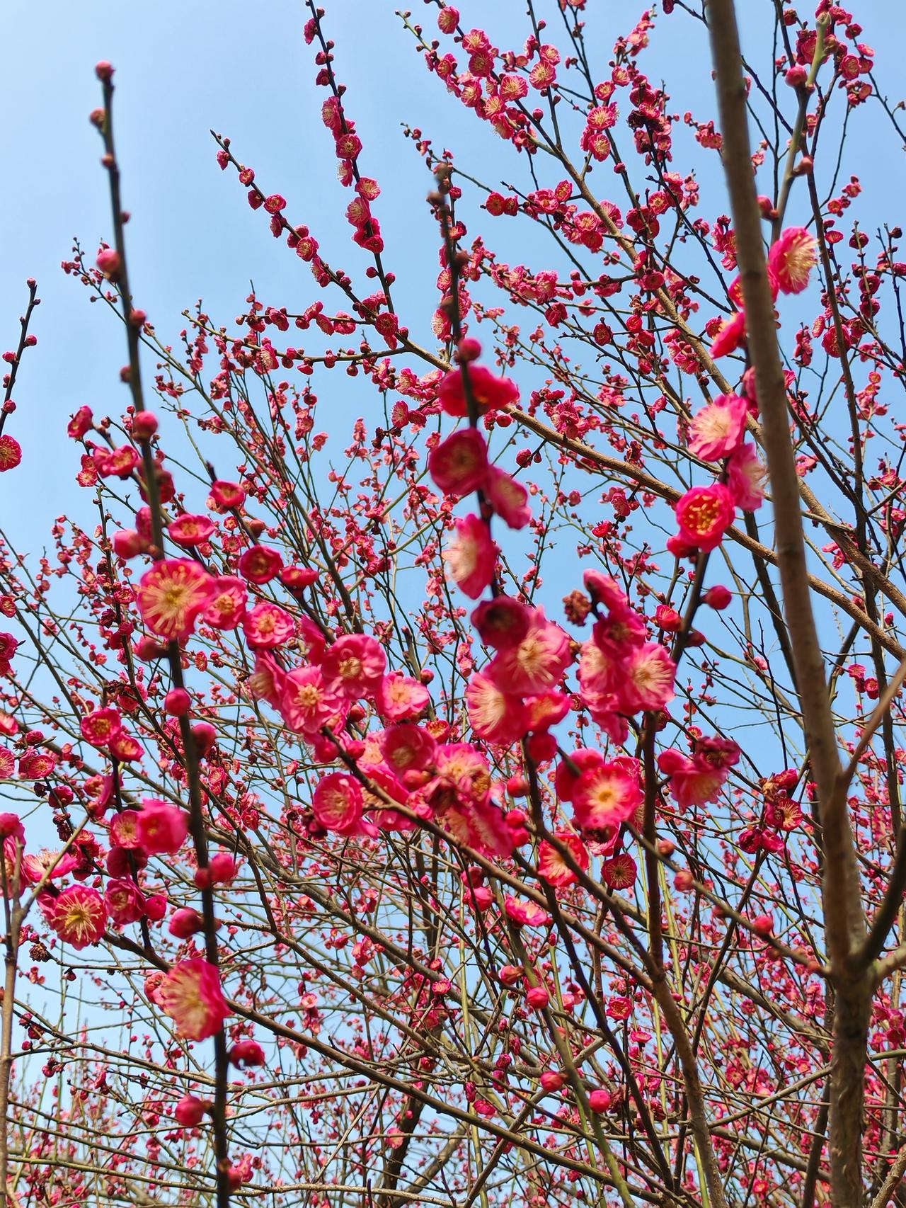 把它背下来，你也能成为老狐狸。1.打架，要按着一个人往死里打，这样其他人