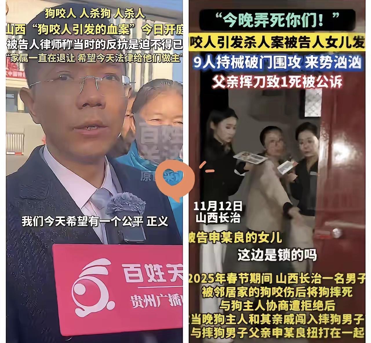 律师说的非常正确，也非常有良心！结伙行凶第一罪，为狗寻仇第二罪，破门打人第三