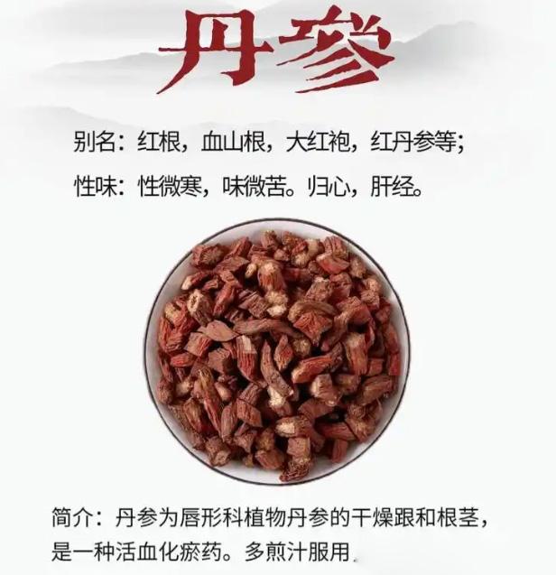 红参不是丹参，要注意区别上去我讲到红参，有一个粉丝就说，红参不就是丹参吗？丹