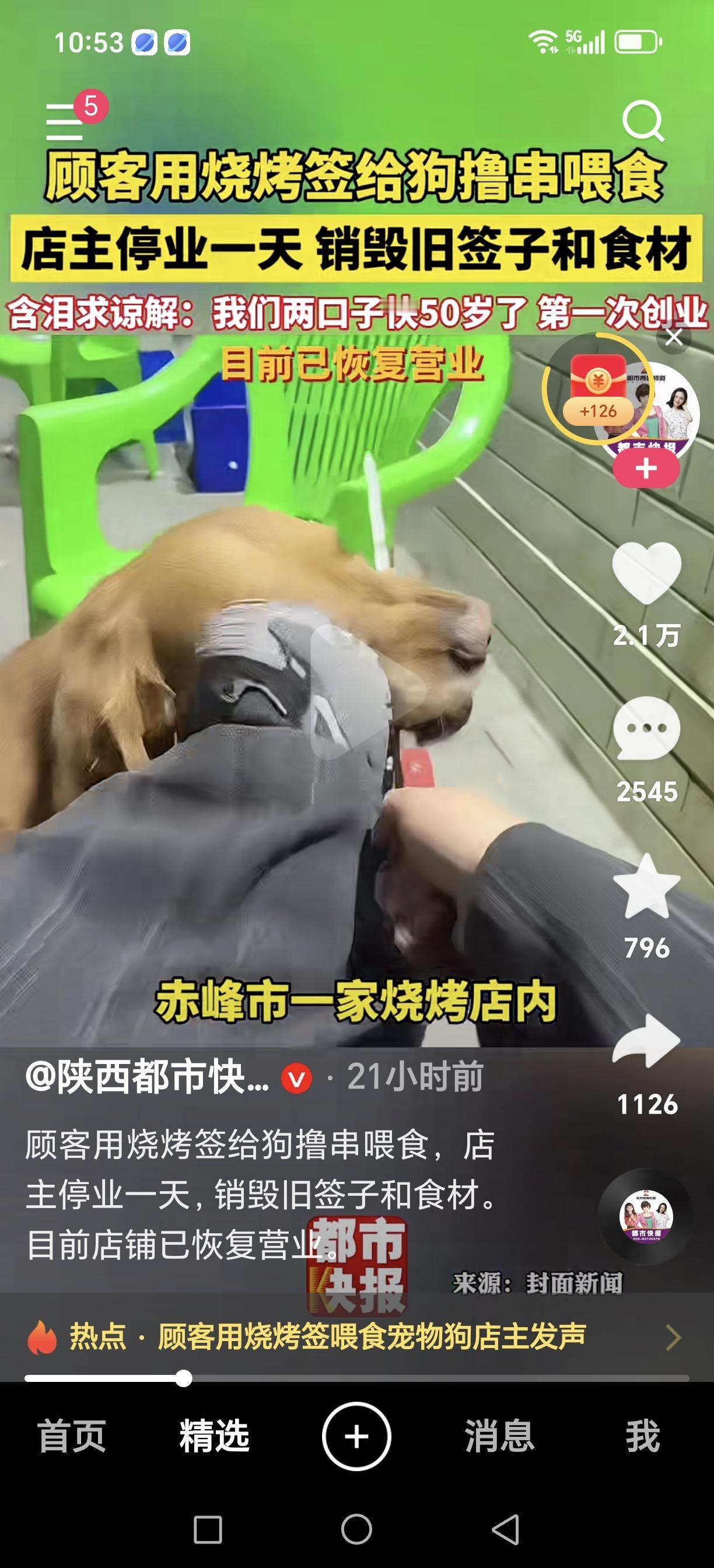 人狗不分当休矣！又一家店，客人用串签子给狗喂食，前有用盘子给狗喂饭，更有拿狗当