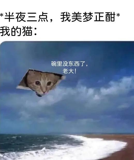 喵呜