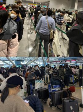 当初执意要去日本的后果，现在终于显现出来了！想回来根本就是难上加难，日本关西