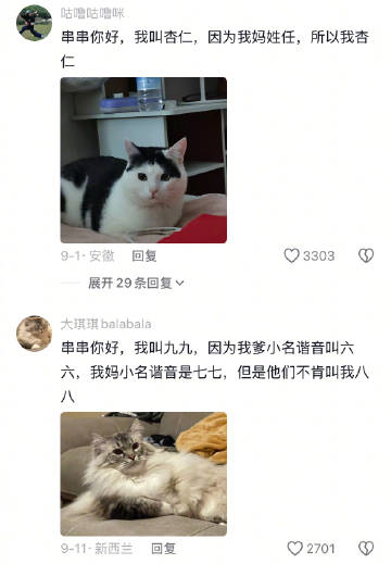 快被这评论区萌死了