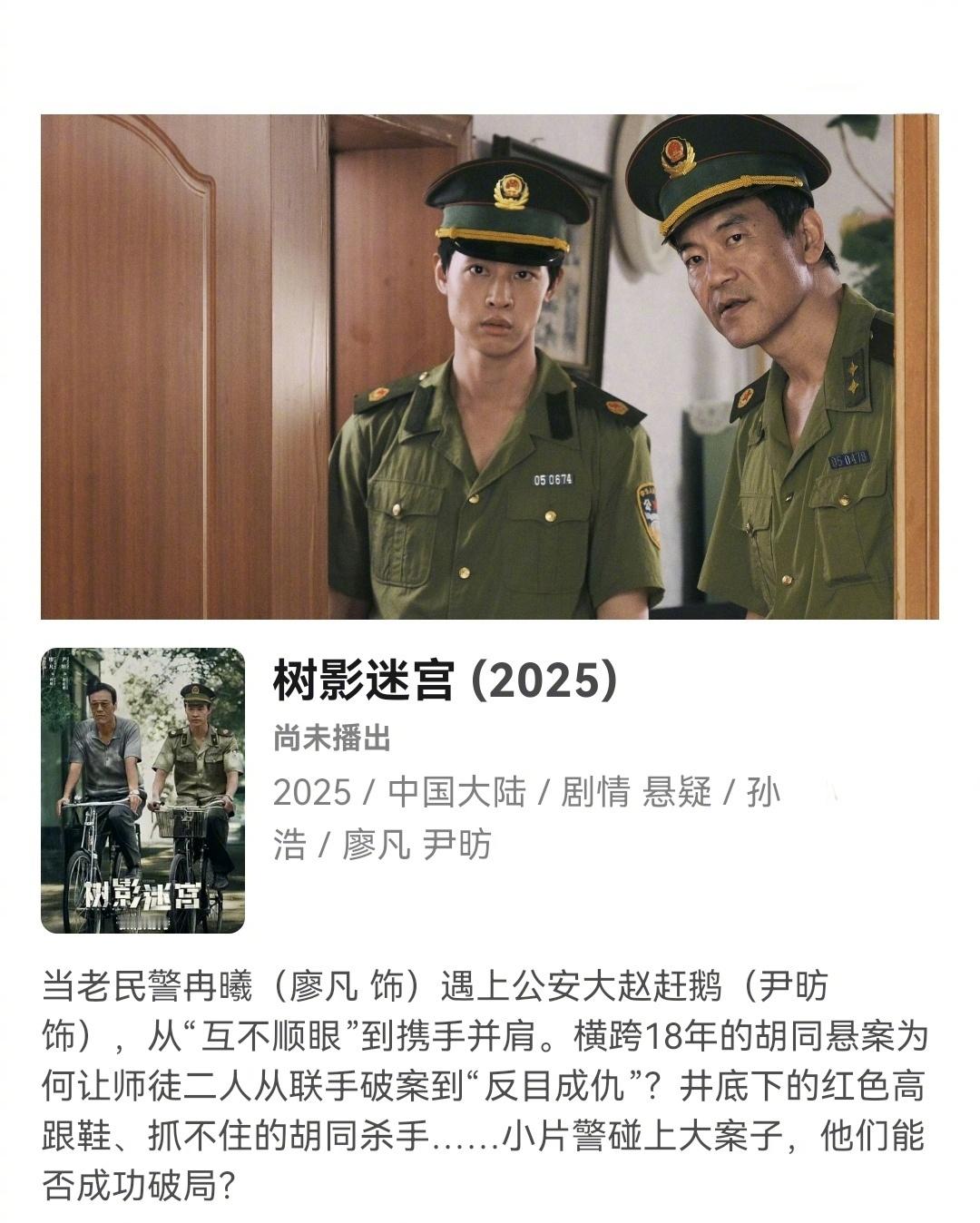 你们的片单该速速更新啦~悬疑、职场、都市，新一波定档剧集来袭◆《树影迷宫