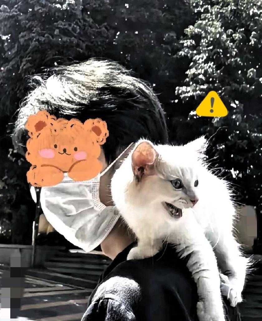 我们总说“聪明”是生存的必备技能，可川的存在，却让我开始怀疑：是不是我们活得太会