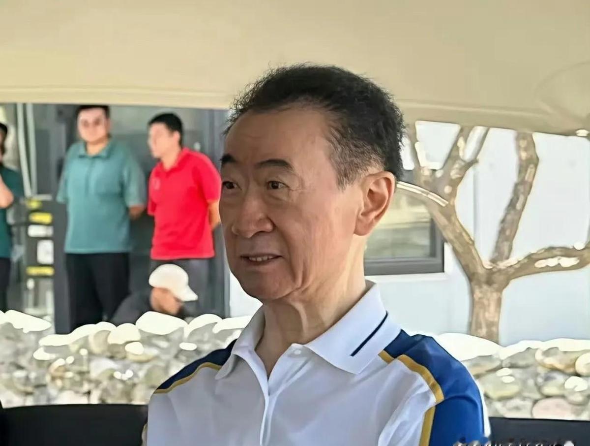 王健林被限制高消费，很多人以为是首富跌落神坛，但真相没那么简单。他没卖房子，没