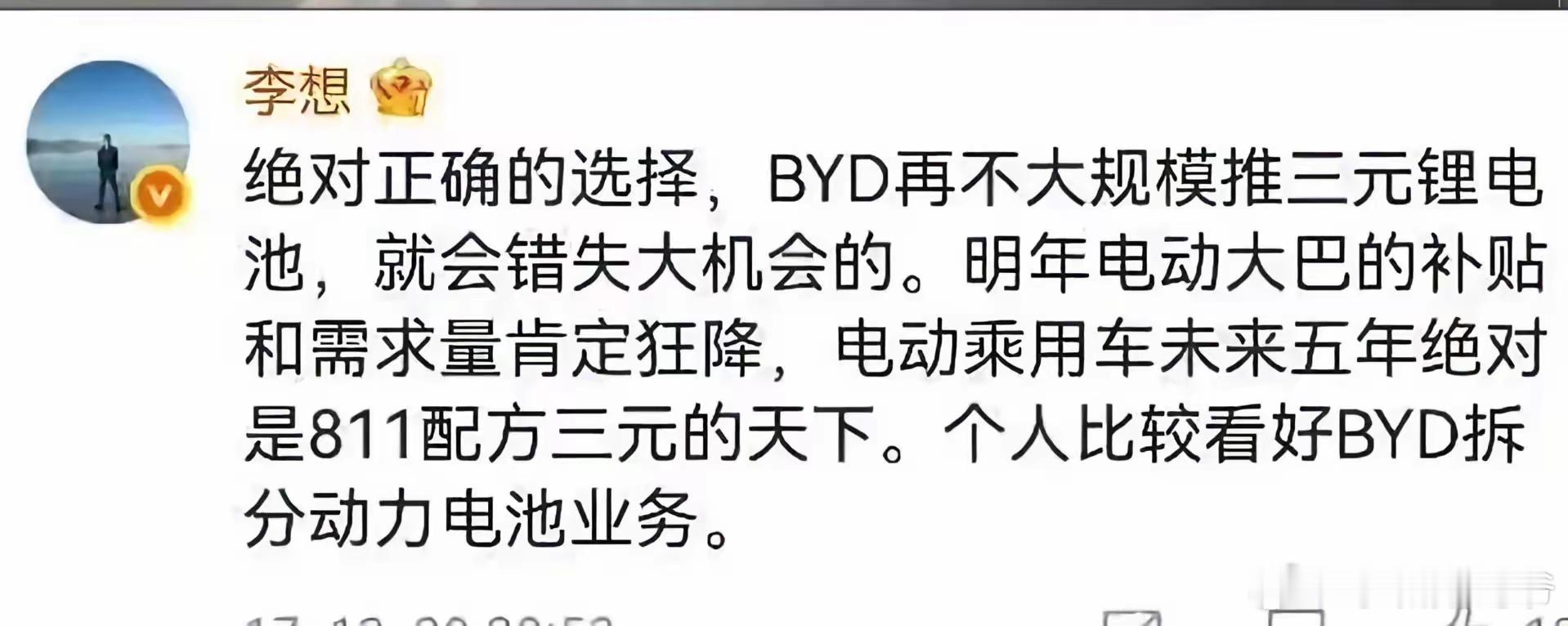 现在比亚迪战略眼光高的不像话，像穿越过来的