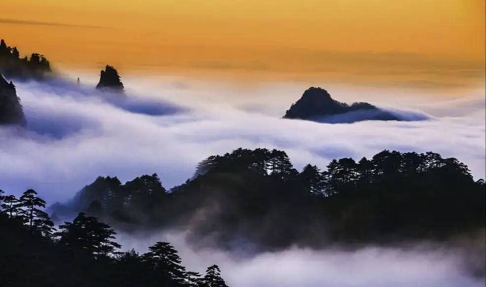 为什么全球有80%的人因一句“等一等”而酿成终生遗憾？这看似温柔的拖延习惯，竟是