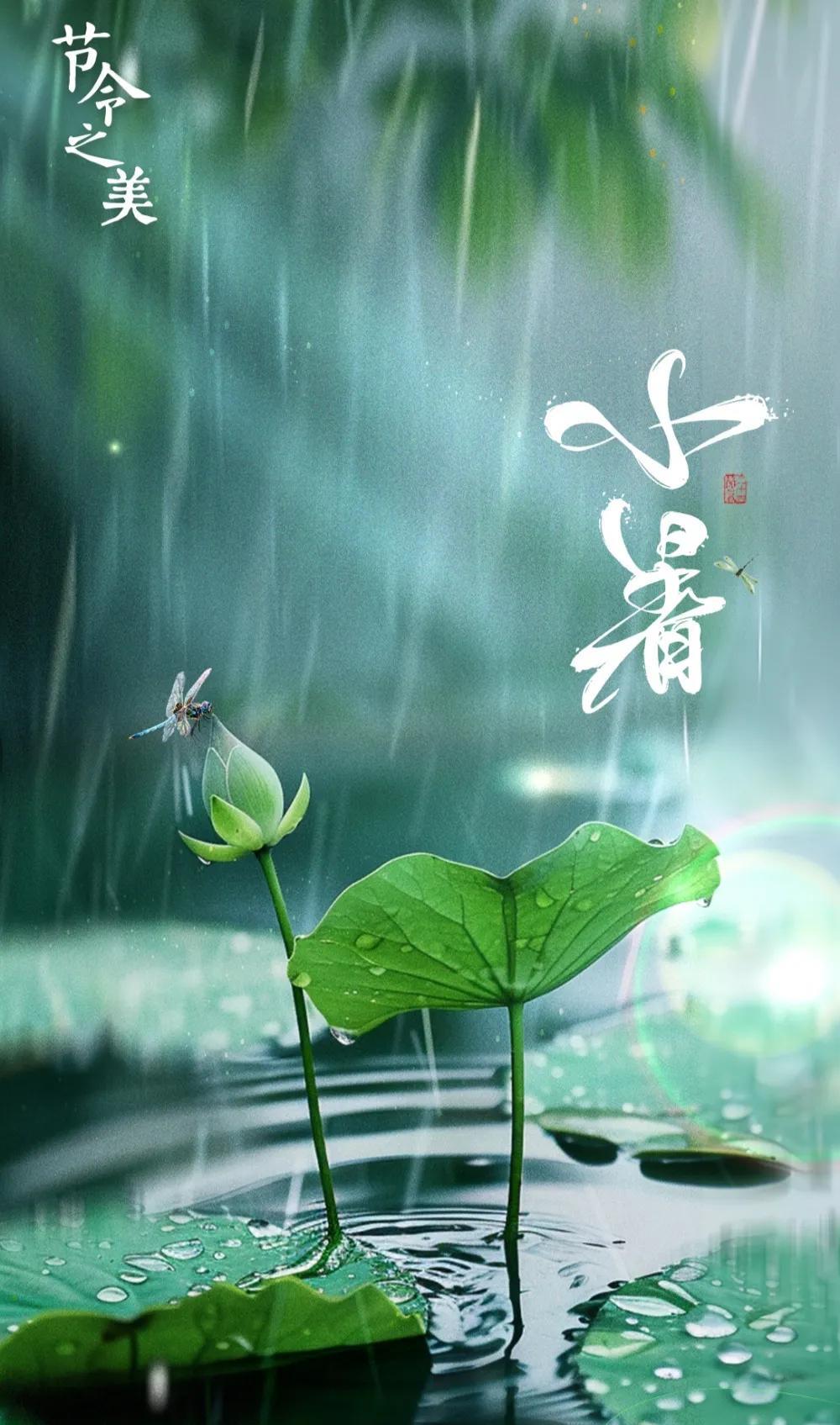 七律·《小暑》薰风拂暑入新元，烈日高悬热浪煎。蝉噪高枝鸣午树，荷擎碧伞立晴川