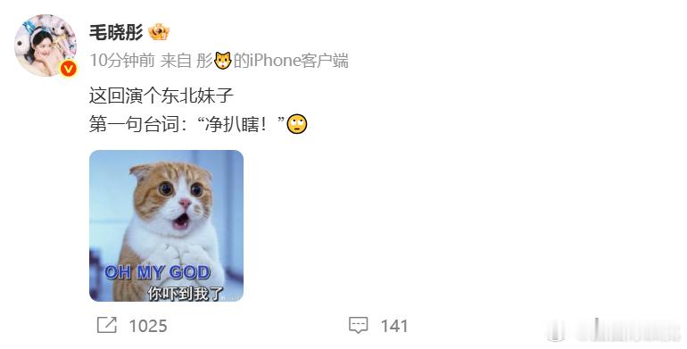 毛晓彤说净扒瞎演东北妹子开口就是“净扒瞎”，毛晓彤这台词功底可以啊！配上OMG