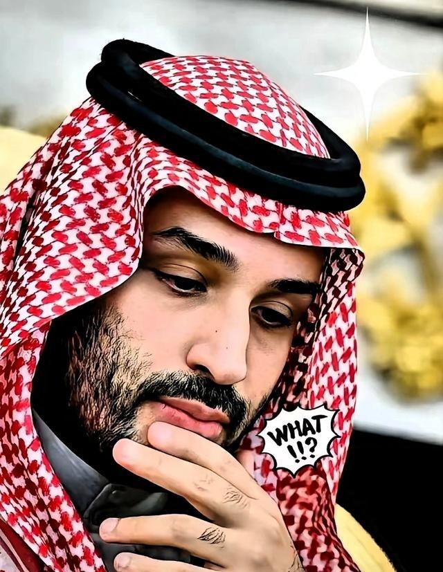 沙特这回是真把桌子给掀了。25艘超大油轮，满载5000万桶原油，完全不理会霍尔木