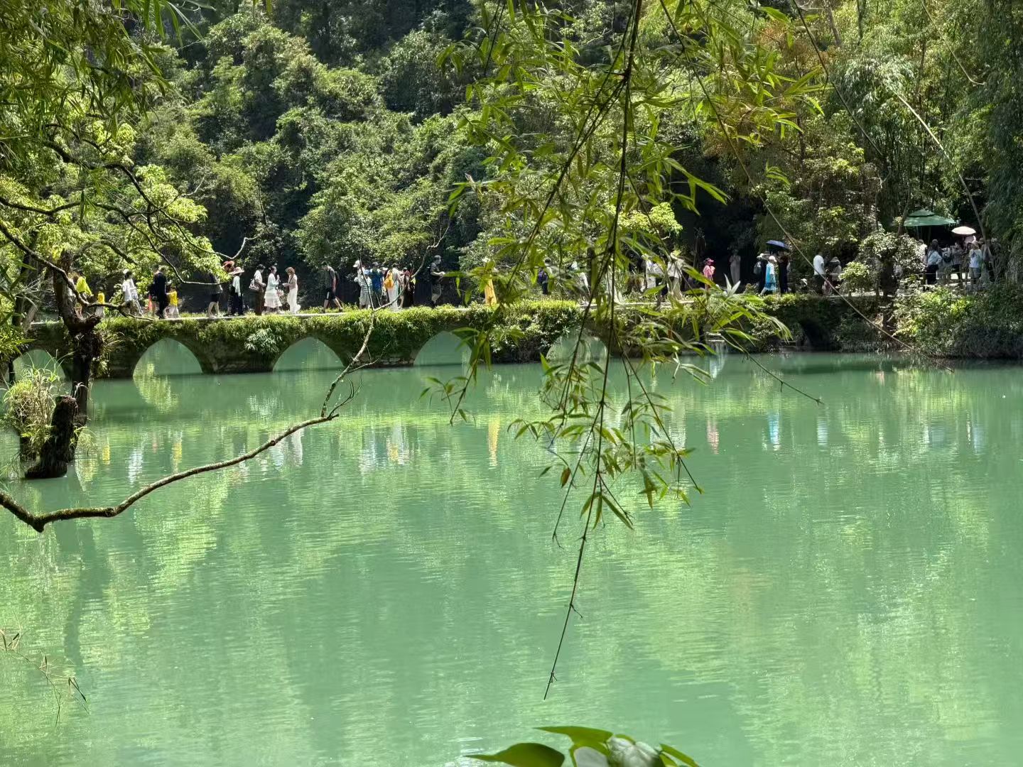 贵州荔波小七孔💚地球绿宝石美景攻略！