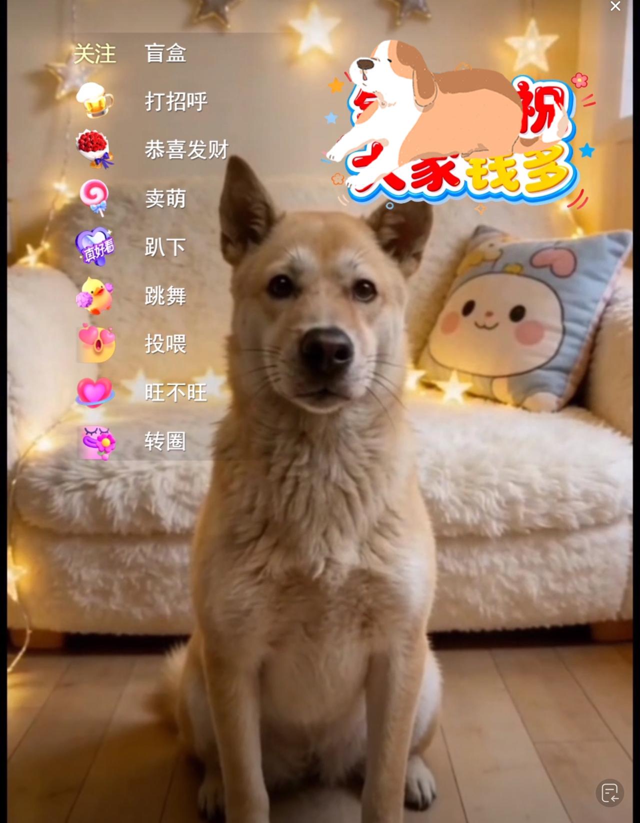 这几天，发现一个现象，很多直播间里直播的，不再是主播，而是养的宠物，大多数都是可